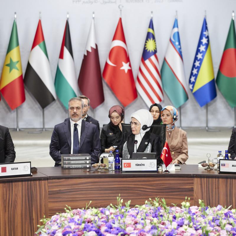 Her Highness participates in High-Level Summit “United for Peace in Palestine” in Istanbul 